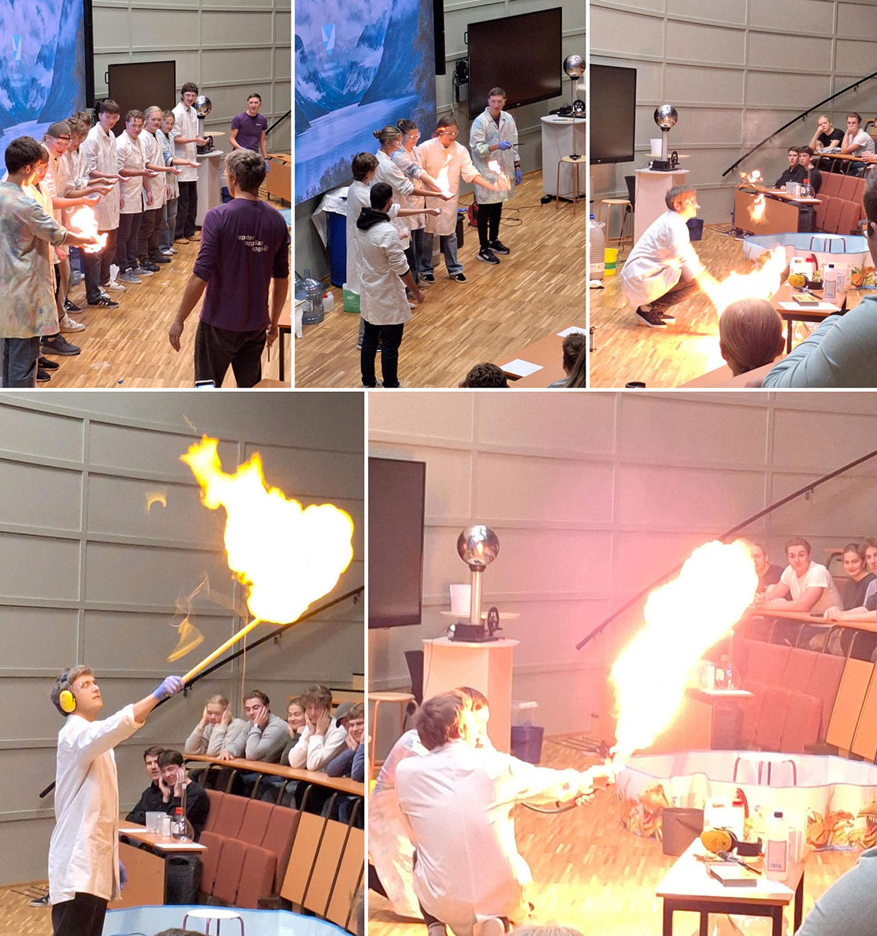 03 Vilvite (nedskalert).jpg