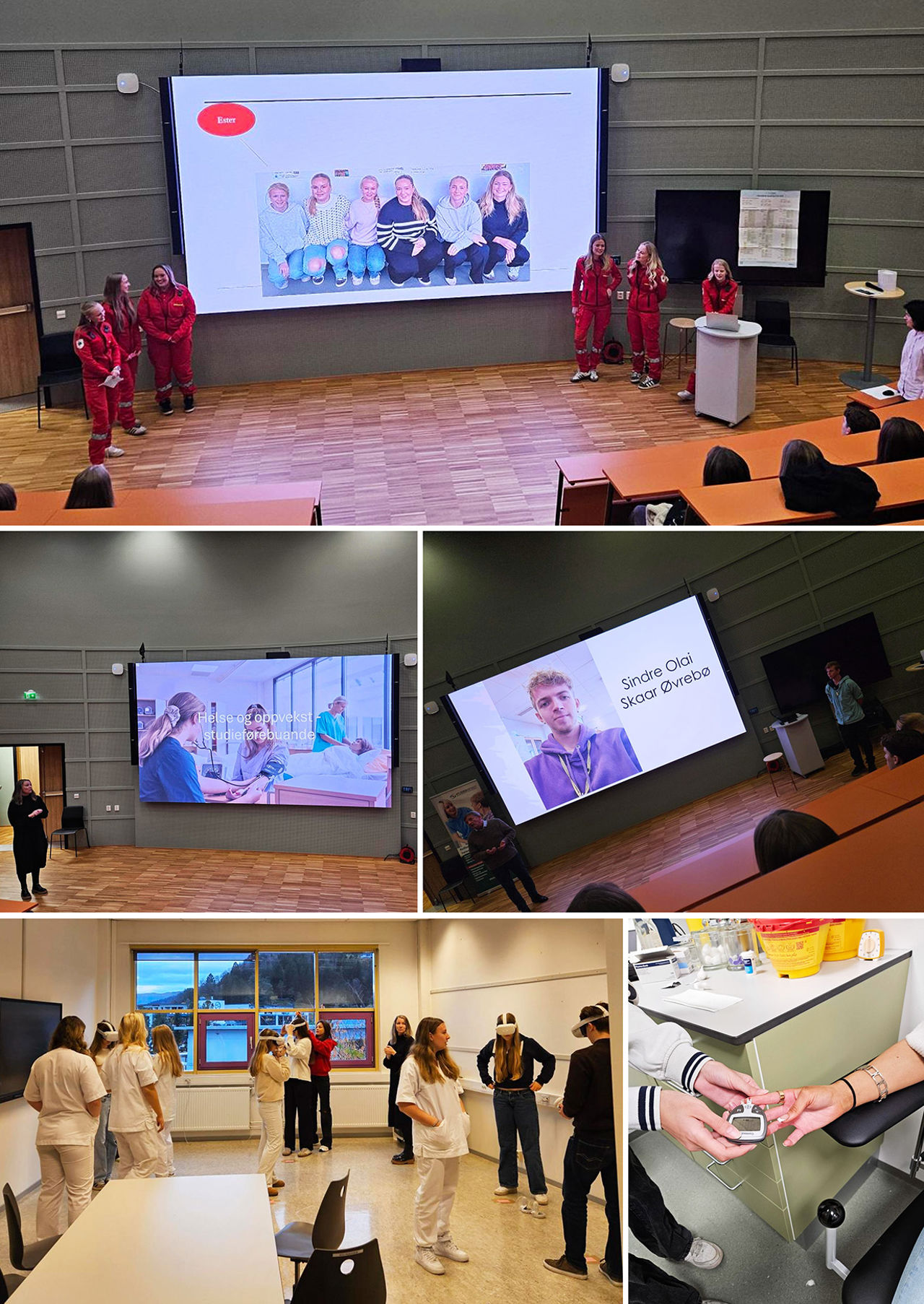 HO1 (nedskalert).jpg